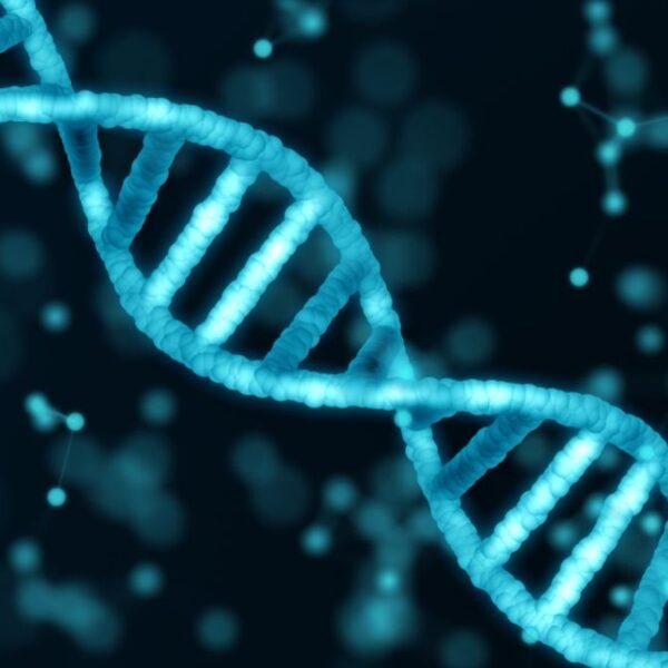In A Monumental Scientific Effort, The Human Genome&hellip;