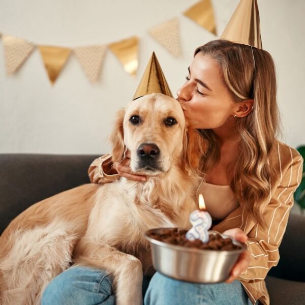 Is 1 Dog Year Really The Same As&hellip;