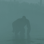 What’s Behind The “Florida Skunk Ape” Sightings? A Black Bear, Or Something Else?