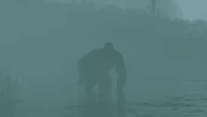 What’s Behind The “Florida Skunk Ape” Sightings? A&hellip;