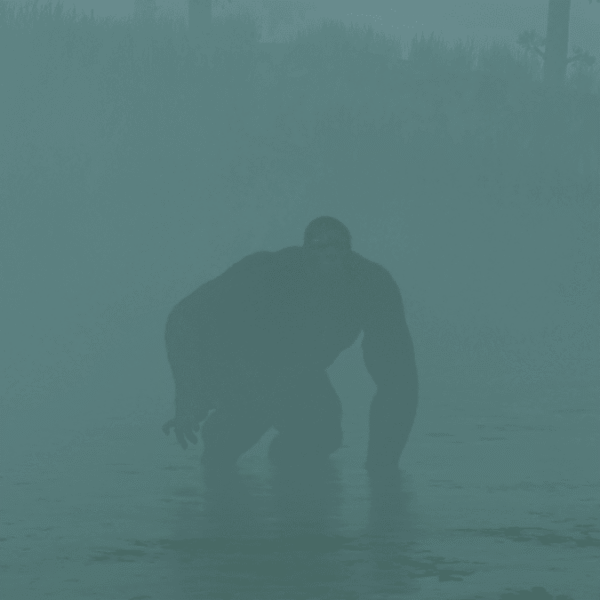 What’s Behind The “Florida Skunk Ape” Sightings? A&hellip;