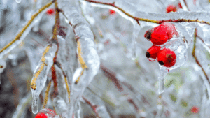 What Is Glaze Ice? The Strange (And Deadly)&hellip;