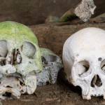 The Only Known (Nearly) Complete Green Mummy Just Revealed Why It’s So Green