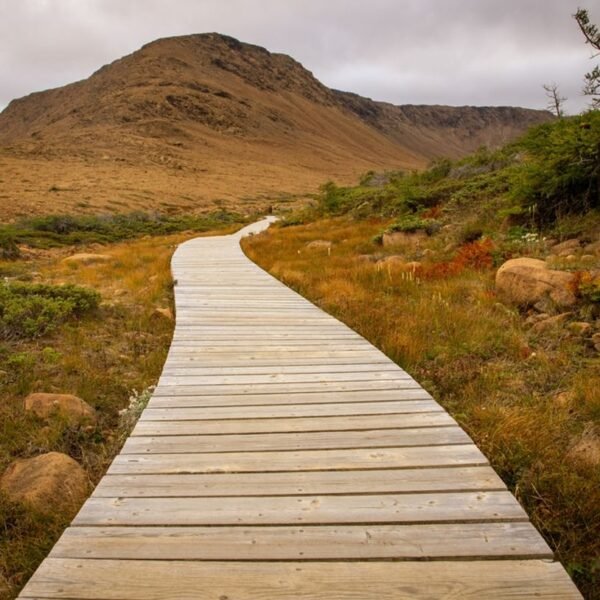 Is It True There Are Two Places On&hellip;