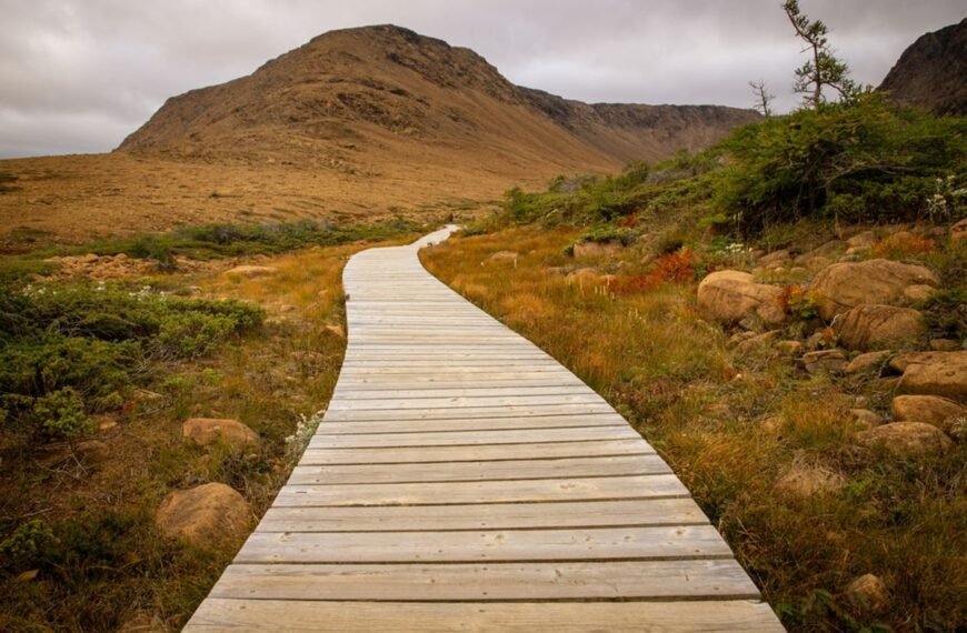 Is It True There Are Two Places On Earth Where You Can Walk Directly On The Mantle?