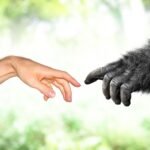 Hominin Vs. Hominid: What’s The Difference?