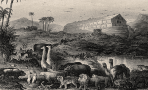 All Animals, Plants, And Fungi On Earth Can&hellip;