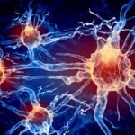 What Causes All The Symptoms Of Long COVID And ME/CFS? The Brainstem Could Be The Key