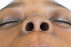 Why Do We Have Two Nostrils, Instead Of&hellip;