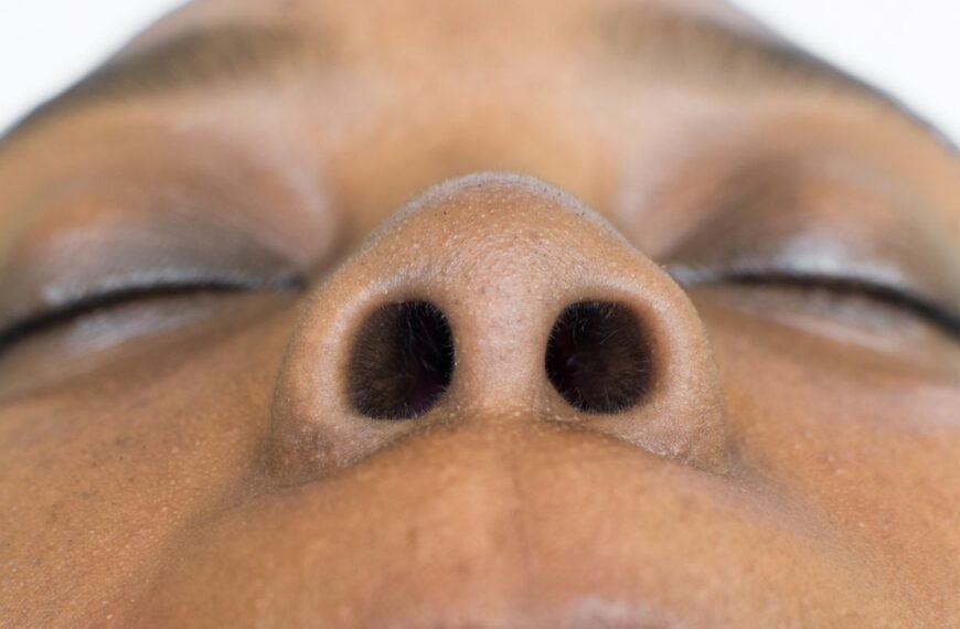 Why Do We Have Two Nostrils, Instead Of One Big Nose Hole?