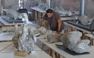 Why Were Pompeii Victims All Wearing Thick Woolly&hellip;