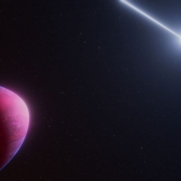 “What The Heck Is This?”: JWST Reveals Bizarre&hellip;
