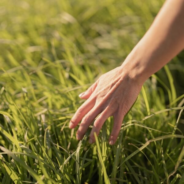 How Many Senses Do Humans Have? It Could&hellip;