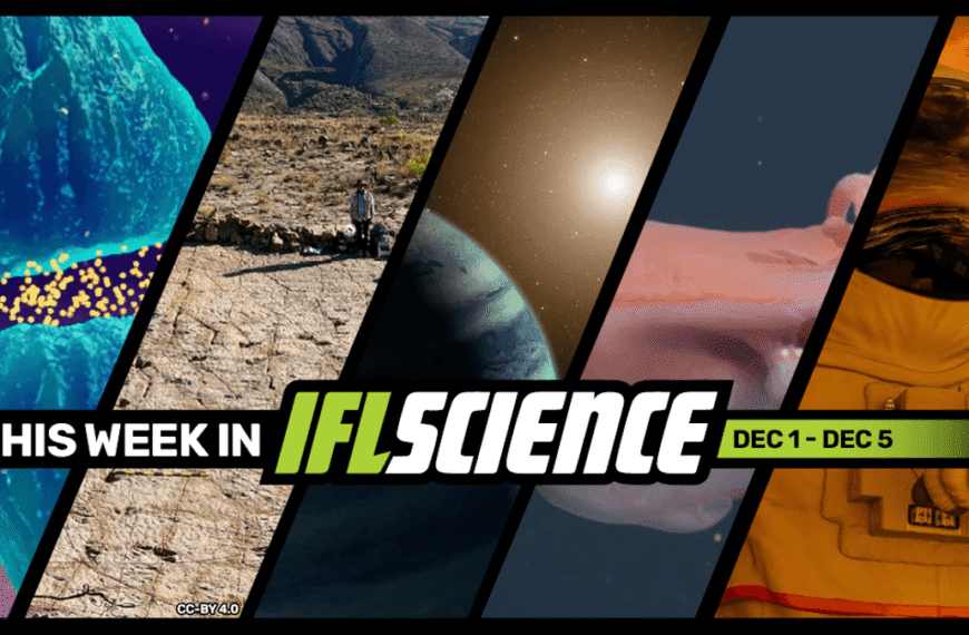 Inhaling “Laughing Gas” Could Treat Severe Depression, Live Seven-Arm Octopus Spotted In The Deep Sea, And Much More This Week