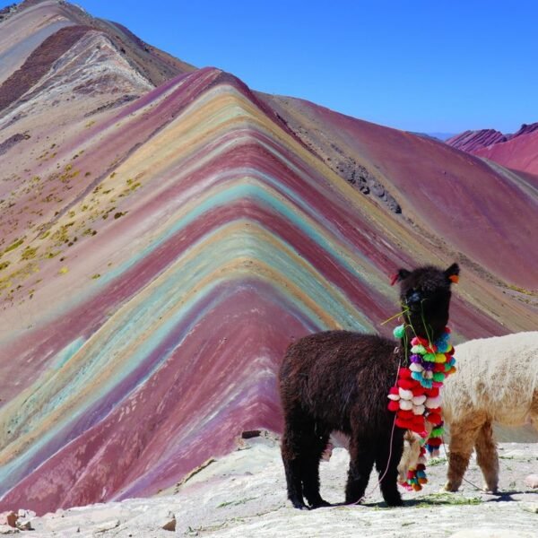 Why Is Rainbow Mountain So Vibrantly Colorful?