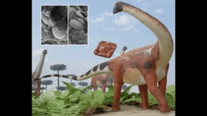 What Color Was Diplodocus? First-Ever Sauropod Fossils With&hellip;
