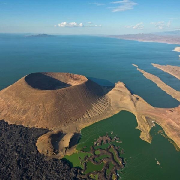 When rift lakes dry up it can cause&hellip;