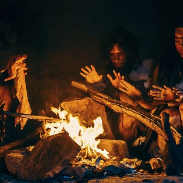 Did Neanderthals Forget How To Make Fire?