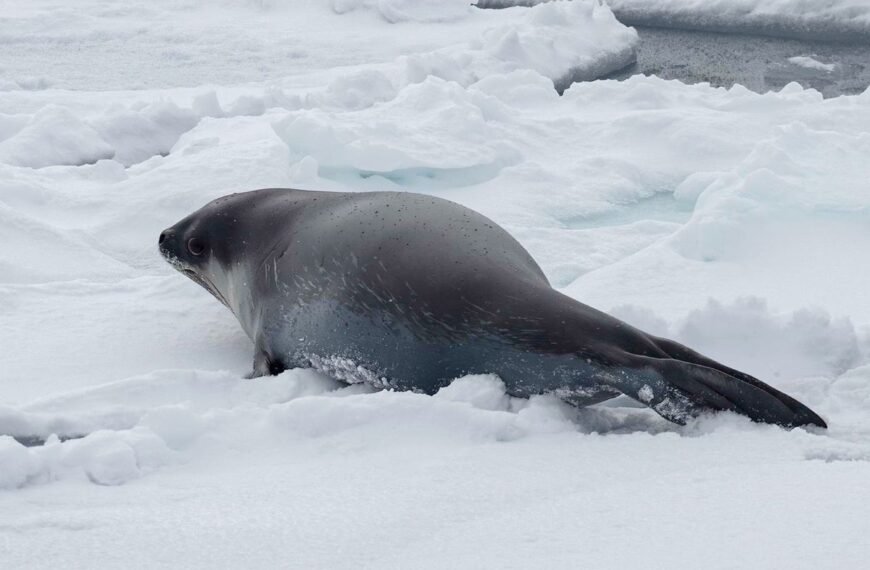 These Might Be The First Ever Underwater Photos&hellip;