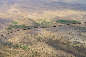 A new tectonic plate boundary could be forming&hellip;