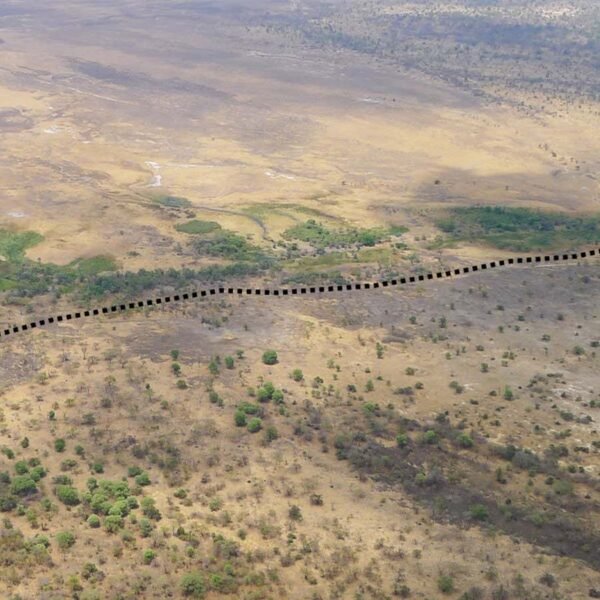 A new tectonic plate boundary could be forming&hellip;