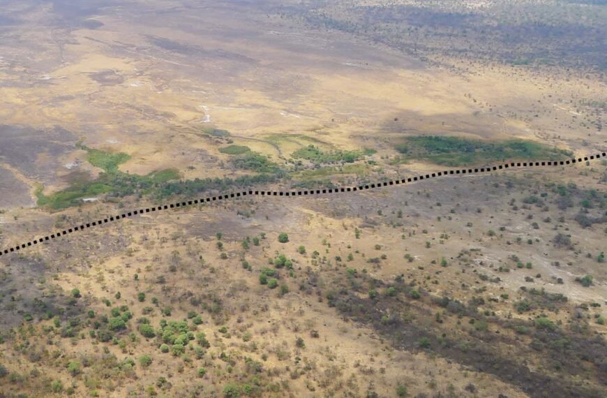 A new tectonic plate boundary could be forming in southern Africa