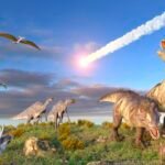 Asteroid strike caused global firestorm that incinerated the dinosaurs